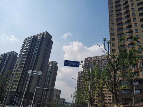 秒杀一众商品房 南京这家安置房交付，实景太惊艳了