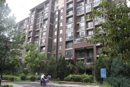 北五环领秀慧谷出新盘 商品房实力碾压万橡悦府，性价比更胜一筹